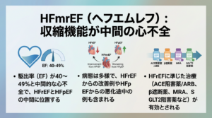 HFmrEFの説明画像