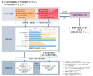 慢性心不全治療薬に関するガイドラインの図