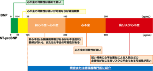 BNP/NT-proBNPの判断基準の表