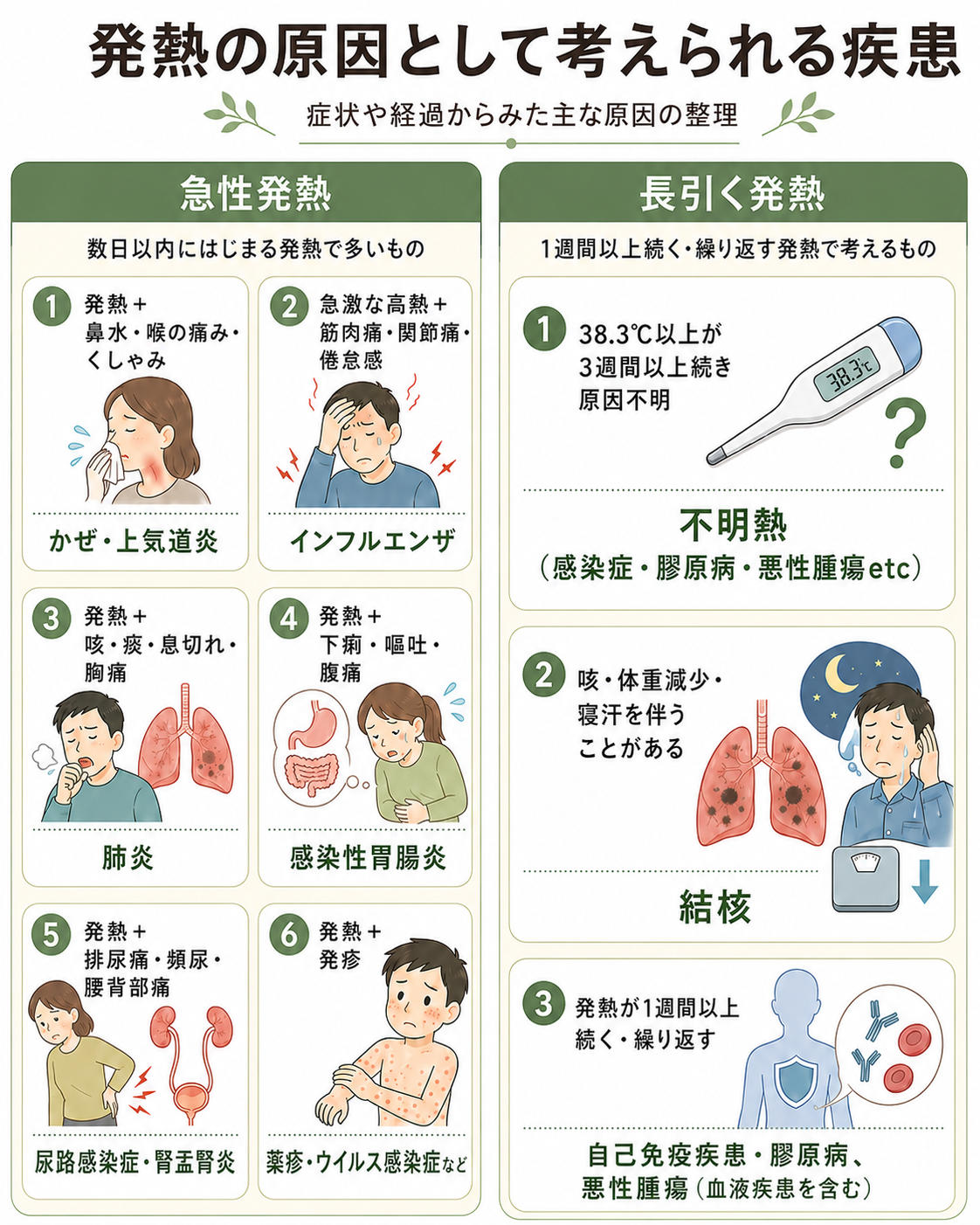 発熱の原因として考えられる疾患を、急性発熱と長引く発熱に分けて示した医療イラスト